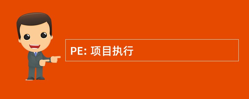 PE: 项目执行