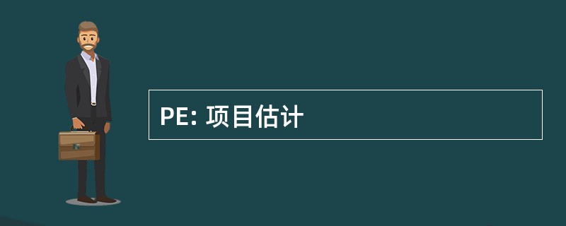 PE: 项目估计