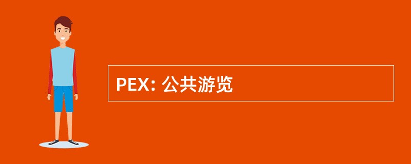 PEX: 公共游览