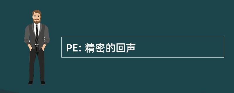 PE: 精密的回声