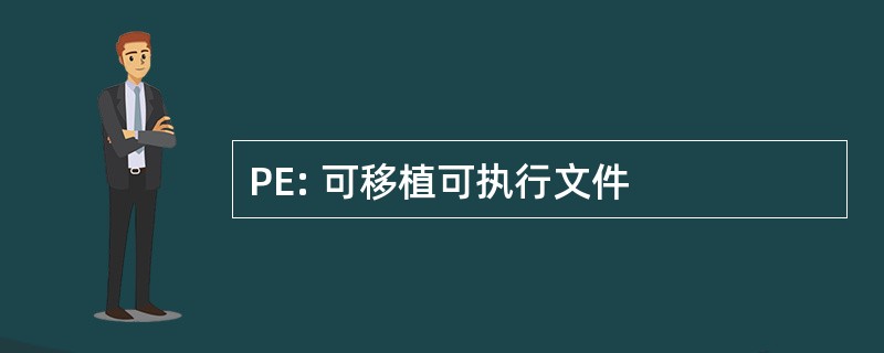 PE: 可移植可执行文件