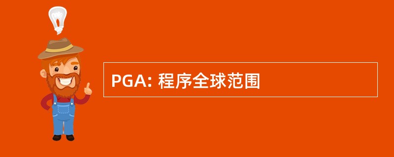 PGA: 程序全球范围