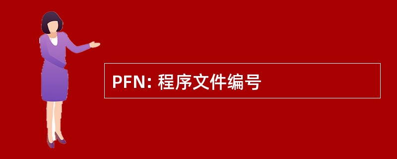 PFN: 程序文件编号