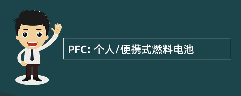 PFC: 个人/便携式燃料电池