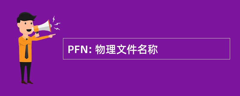 PFN: 物理文件名称