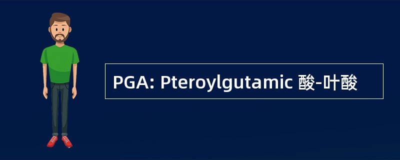 PGA: Pteroylgutamic 酸-叶酸