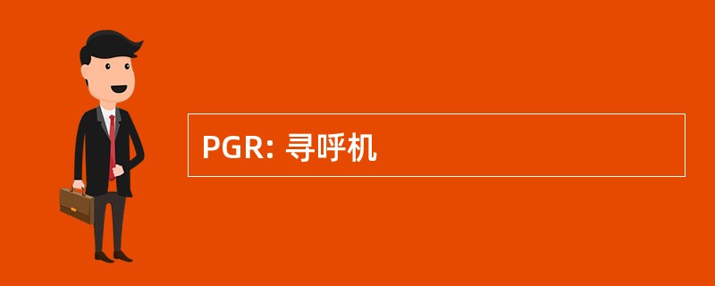 PGR: 寻呼机