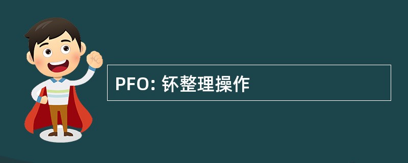 PFO: 钚整理操作