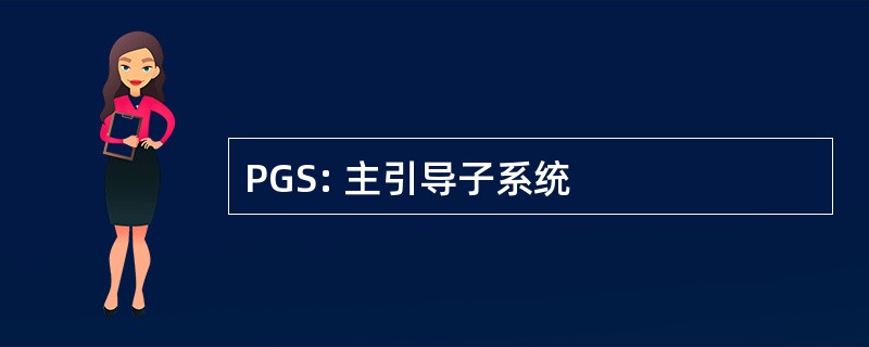 PGS: 主引导子系统