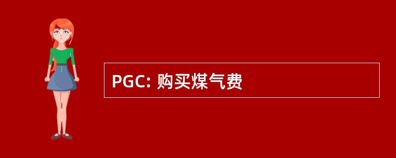 PGC: 购买煤气费