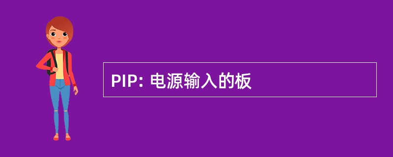 PIP: 电源输入的板