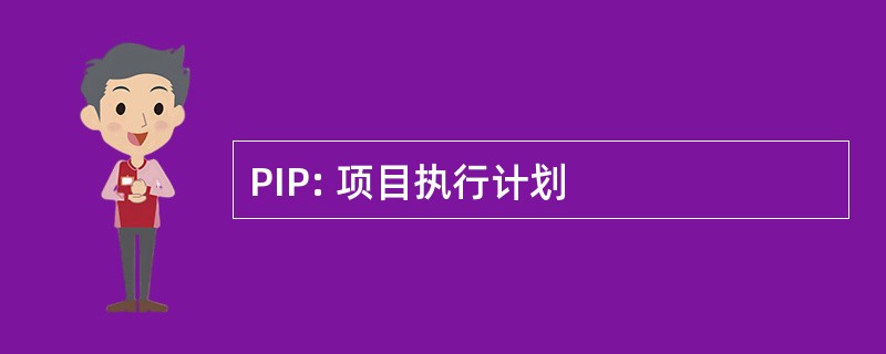 PIP: 项目执行计划