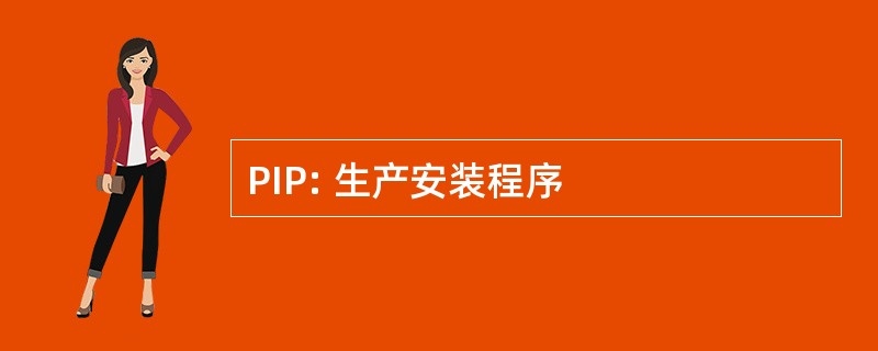 PIP: 生产安装程序