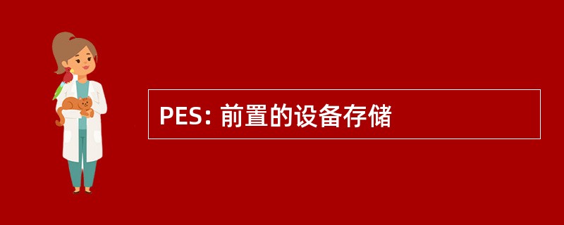 PES: 前置的设备存储