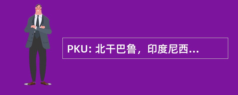 PKU: 北干巴鲁，印度尼西亚-新邦蒂加岛