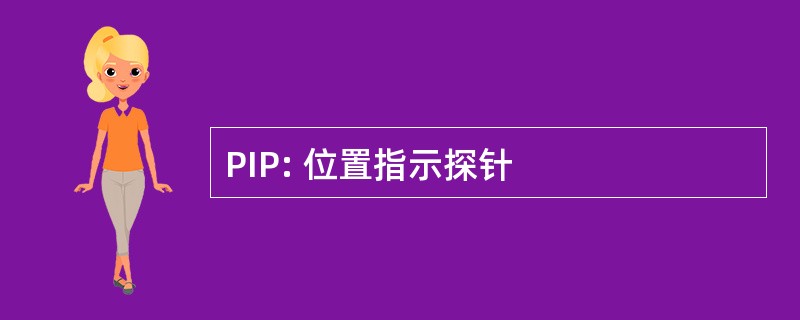 PIP: 位置指示探针