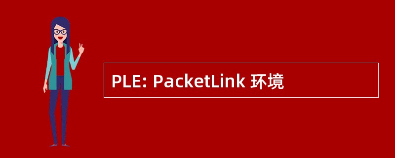 PLE: PacketLink 环境