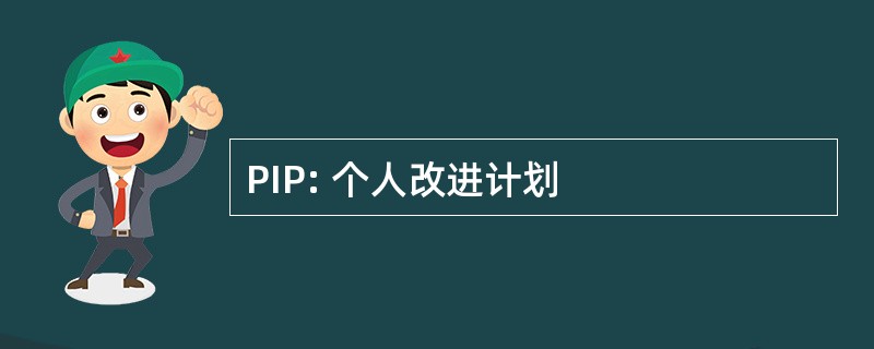 PIP: 个人改进计划