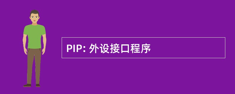 PIP: 外设接口程序