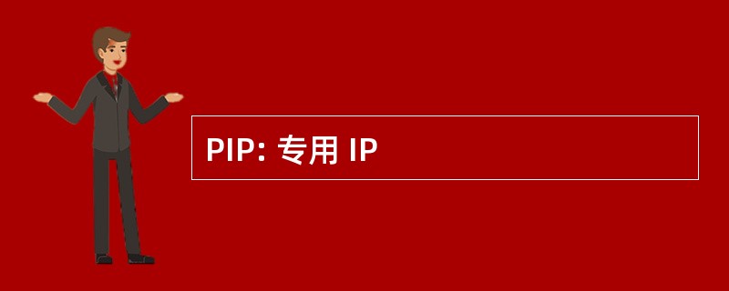 PIP: 专用 IP