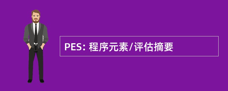 PES: 程序元素/评估摘要