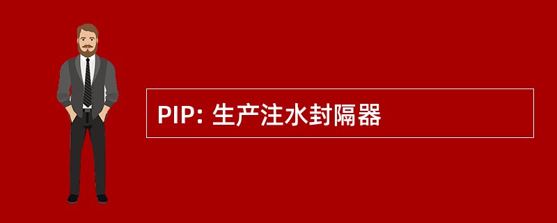 PIP: 生产注水封隔器