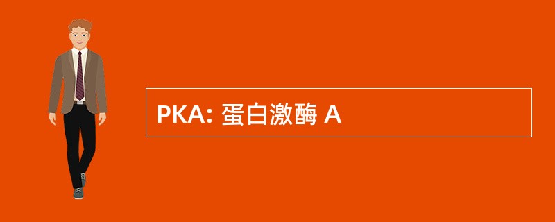 PKA: 蛋白激酶 A