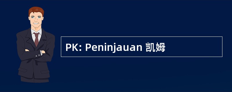 PK: Peninjauan 凯姆