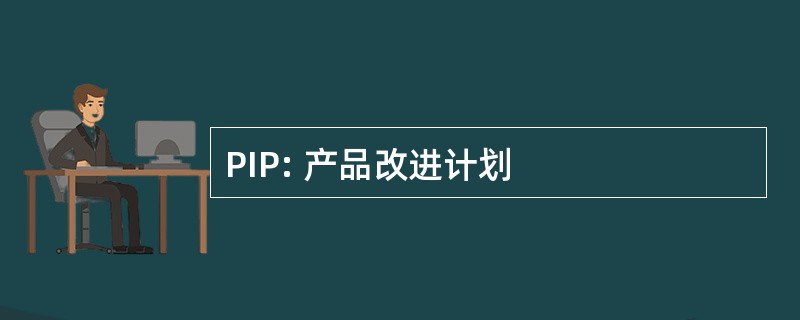 PIP: 产品改进计划