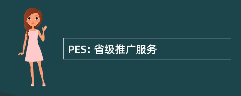 PES: 省级推广服务