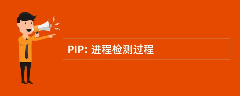 PIP: 进程检测过程