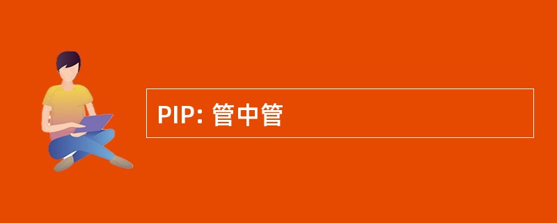 PIP: 管中管