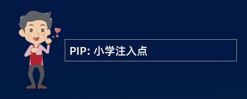 PIP: 小学注入点