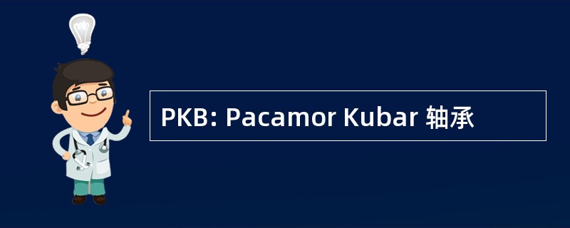 PKB: Pacamor Kubar 轴承