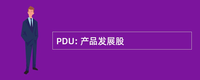 PDU: 产品发展股