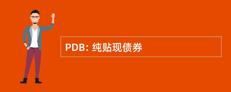 PDB: 纯贴现债券