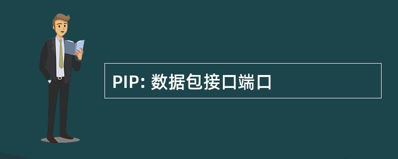 PIP: 数据包接口端口