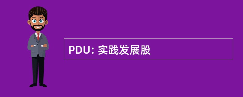 PDU: 实践发展股