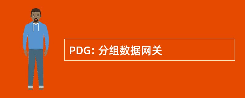 PDG: 分组数据网关