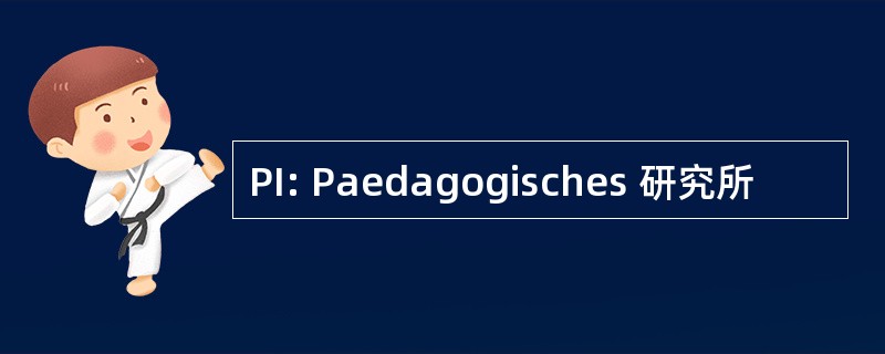 PI: Paedagogisches 研究所