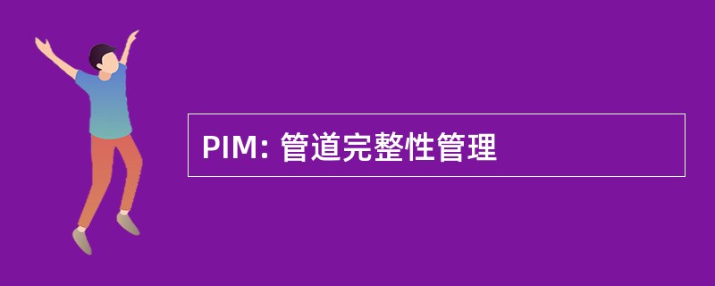 PIM: 管道完整性管理