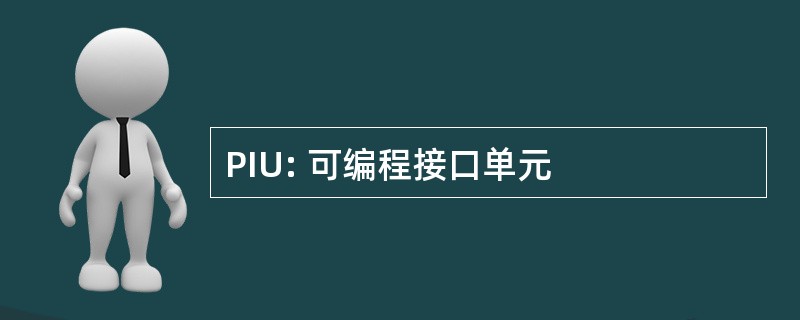 PIU: 可编程接口单元