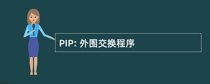 PIP: 外围交换程序