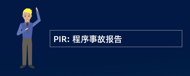 PIR: 程序事故报告