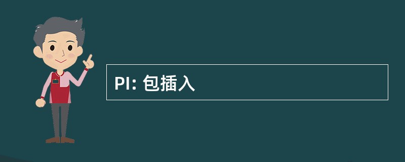 PI: 包插入