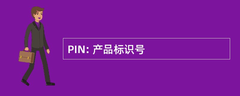 PIN: 产品标识号