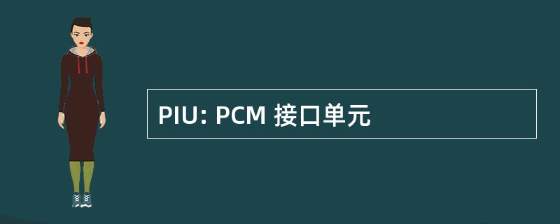 PIU: PCM 接口单元