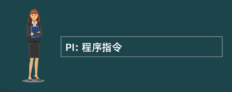 PI: 程序指令