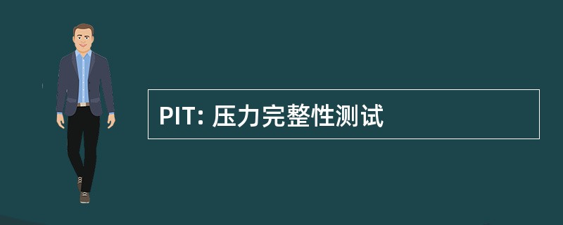 PIT: 压力完整性测试