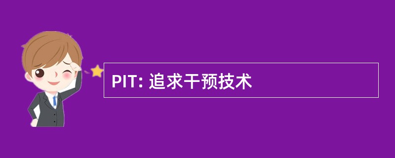 PIT: 追求干预技术